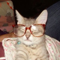 soleilretro ($3 OF) ₊˚⊹♡ (@soleilretro_) 's Twitter Profile Photo soleilretro ($3 OF) ₊˚⊹♡ (@soleilretro_) 's Twitter Profile Photo