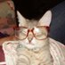 soleilretro ($3 OF) ₊˚⊹♡ (@soleilretro_) Twitter profile photo soleilretro ($3 OF) ₊˚⊹♡ (@soleilretro_) Twitter profile photo