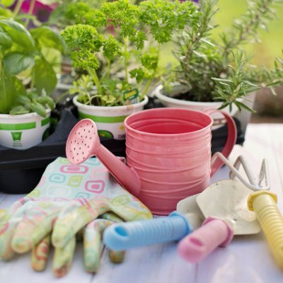 #jardinier Entreprise d'entretien intérieure et extérieure #jardin de vos biens
#paysagiste #petitjardin #conseils #astuces