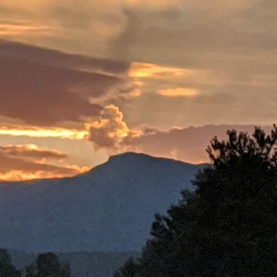 Tarotdoc_15's profile picture. 