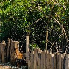 5hpyr7y5pw's profile picture. 