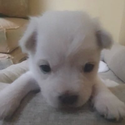 ddubeoksnzz's profile picture. 07정시병양성소