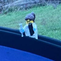 🐀 Ruth: Mother of (lab) robots, first of her name (@lego_scientist) 's Twitter Profile