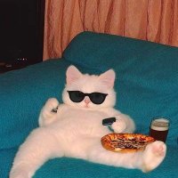 Arya (@hello_introvert) 's Twitter Profile