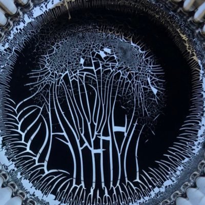 cerruti284's profile picture. Sólo un viejo gritándole a las nubes.