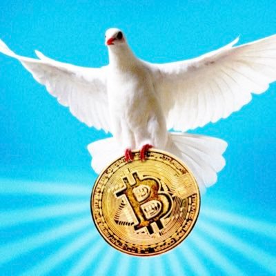 BTJE555's profile picture. 