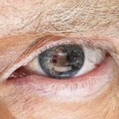 piercejay38's profile picture. AUCTIONS
