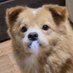 김딱밤 아카이브 (@ttakbam_kim) Twitter profile photo 김딱밤 아카이브 (@ttakbam_kim) Twitter profile photo