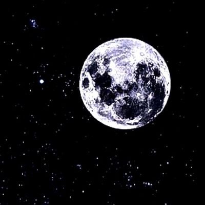 Stark716941's profile picture. 