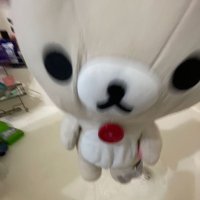 붕어 (@msncoaster) 's Twitter Profile Photo 붕어 (@msncoaster) 's Twitter Profile Photo