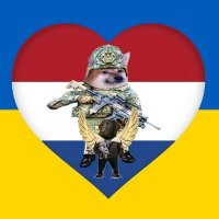 #WeAreNAFO_SOFFella-HRV 🇳🇱❤️🇺🇦🫡 (Parody) (@alwin_r03) 's Twitter Profile