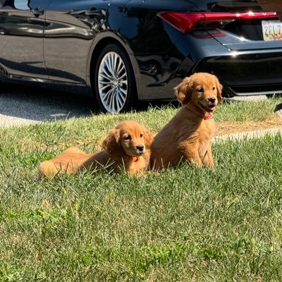 firegirl1961's profile picture. Retired