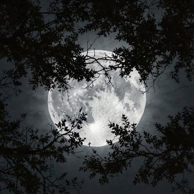 yavarbaba's profile picture. مهندسی سازه