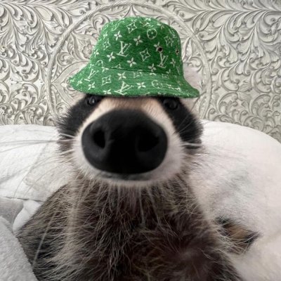 whxtevah's profile picture. 24 | M-EU | we gooning over here