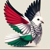 Eng:Ahmed Sedik (@ahmedsedik9655) 's Twitter Profile