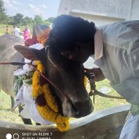 செல்வப்பாண்டியன் (@selvas61911) 's Twitter Profile