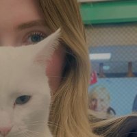 Nisa (@nisakyll) 's Twitter Profile