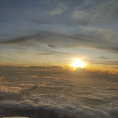 jaceygurrl's profile picture. Life is hard, eat some carbs 🍞🥖🍚