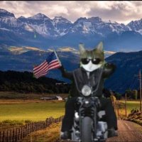 Leo Pussman aka Leonardo (@leopussman) 's Twitter Profile