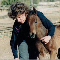 Mountain Barbe (@barbarad81815) 's Twitter Profile