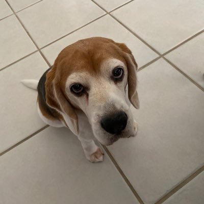 Coveyinfluenced's profile picture. 