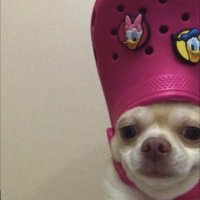 crazy_will (@crazywill9) 's Twitter Profile
