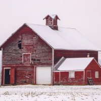 Joynn64 (@joynn64) 's Twitter Profile