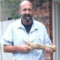 kthorton - Ultra MEGA MAGA (@kebie19) 's Twitter Profile