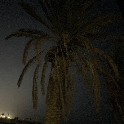 mr_6zoz's profile picture. والله في عون العبد ماكان العبد في عون أخيه