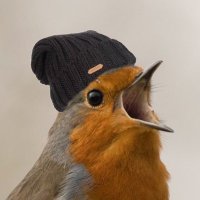 robin 🪺 (@shitpoetic) 's Twitter Profile Photo robin 🪺 (@shitpoetic) 's Twitter Profile Photo