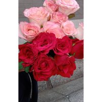 رضوی خاتون 🥀 (@sleeeepy__head) 's Twitter Profile Photo رضوی خاتون 🥀 (@sleeeepy__head) 's Twitter Profile Photo