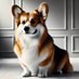 นายกสมาคมคนไม่ปกติ คนบ้า พ่อเลี้ยงด่างคอร์กี้ (@dangcorgi) Twitter profile photo นายกสมาคมคนไม่ปกติ คนบ้า พ่อเลี้ยงด่างคอร์กี้ (@dangcorgi) Twitter profile photo