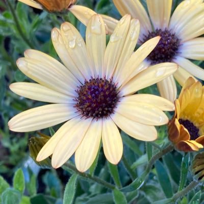 6YbZvnatcL35888's profile picture. 