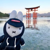 ろ (@miffy12_15) 's Twitter Profile Photo