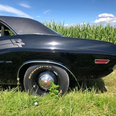 Dennis58074377's profile picture. 