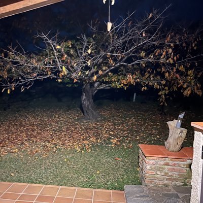 URSUSARCTO's profile picture. Técnico T. Forestales y Conservacion dl Medio Natural. Vigilante Incendios Forestales. #BomberoForestal Extremadura... #soyforestal