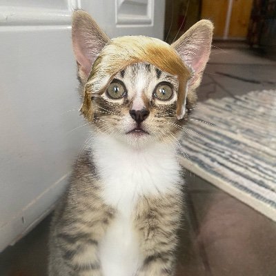 wyatheart's profile picture. 