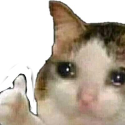 kroostille's profile picture. 💕🐞🪲 sara / 27 / canada / she /en-fr-deutsch-esp 🪲🐞💕