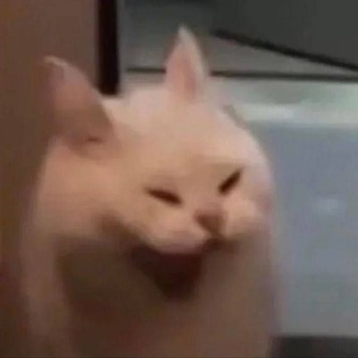 แมวขาวดุร้ายさんのプロフィール画像