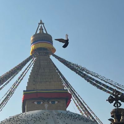 vlntnwlfshn's profile picture. 