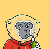 DeFi_Penguin (@poordefipenguin) 's Twitter Profile Photo DeFi_Penguin (@poordefipenguin) 's Twitter Profile Photo