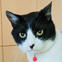 mini (@mini0032) 's Twitter Profile