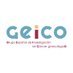 GEICO-Spanish Gynaecological Cancer Research Group (@geicogroup) Twitter profile photo GEICO-Spanish Gynaecological Cancer Research Group (@geicogroup) Twitter profile photo