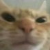 ♡ (@mazatx) Twitter profile photo ♡ (@mazatx) Twitter profile photo