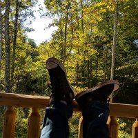 Joe McDaniels (@stitchmasterc) 's Twitter Profile