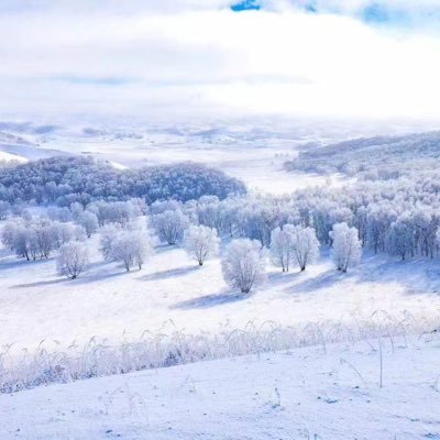 wumingbuyiweng's profile picture. 