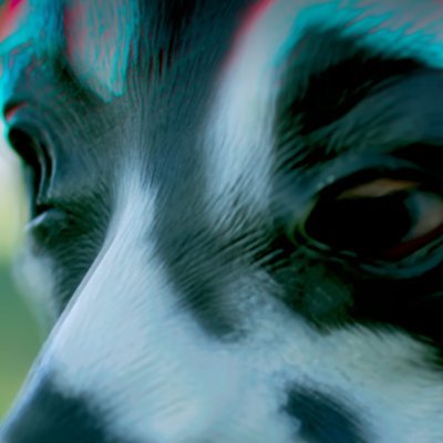 bidonchaud's profile picture. Anything horror !