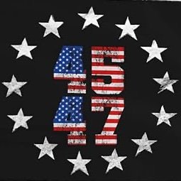 #AmericaFirst #Deplorable #MAGA #MAHA #DarkMAGA
Followed by @ThePersistence @sebgorka @carpedonktum