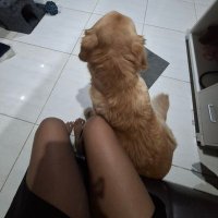 ZANITHAヽ(o´3`o)ﾉ (@zanithalitha) 's Twitter Profile