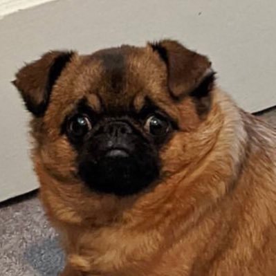 melwithcoffee's profile picture. Kendall Roy savunucusu part time cinèphile/formula 1 /tenis Full time overthinker-eee